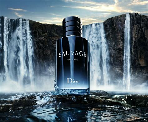 dior neuer duft 2020|Neuer Duft Dior Sauvage Eau Forte .